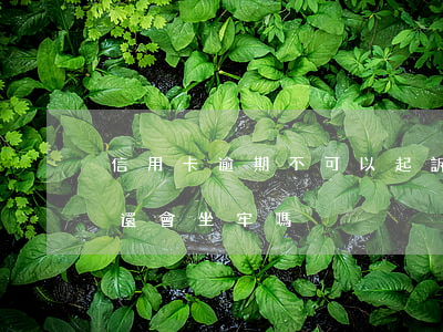 信用卡逾期不可以起訴嘛-欠信用卡逾期不還會坐牢嗎