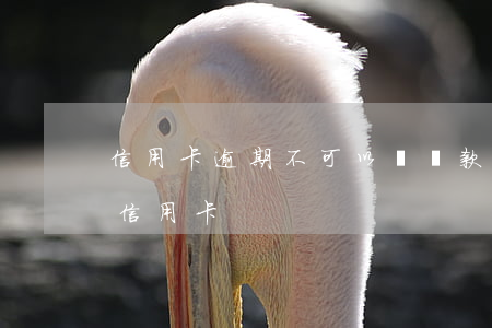 信用卡逾期不可以辦貸款嗎(逾期可不可以辦信用卡)