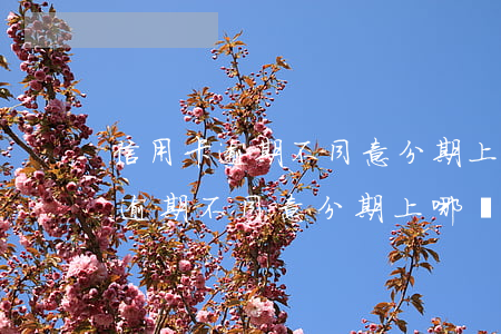 信用卡逾期不同意分期上哪兒投訴-信用卡逾期不同意分期上哪兒投訴呢