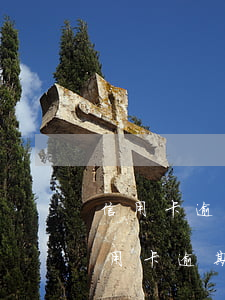 信用卡逾期不同意協(xié)商(為什么信用卡逾期協(xié)商不了)