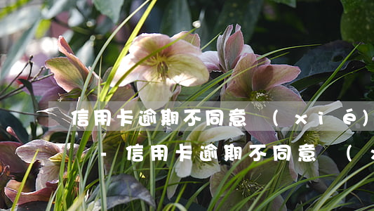 信用卡逾期不同意協(xié)商起訴怎么辦-信用卡逾期不同意協(xié)商起訴怎么辦呢