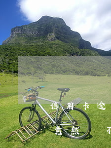 信用卡逾期不同意慢慢還(信用卡逾期好久了,竟然還不了款了)