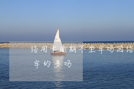 信用卡逾期不坐牢吗(因信用卡逾期被起诉坐牢的多吗)
