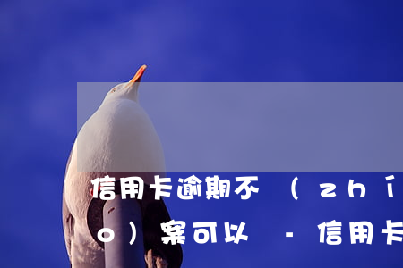 信用卡逾期不執(zhí)行直接報(bào)案可以嗎-信用卡逾期不執(zhí)行直接報(bào)案可以嗎知乎