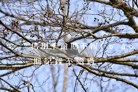 信用卡逾期不報(bào)廢(辦信用卡有逾期記錄不給過)