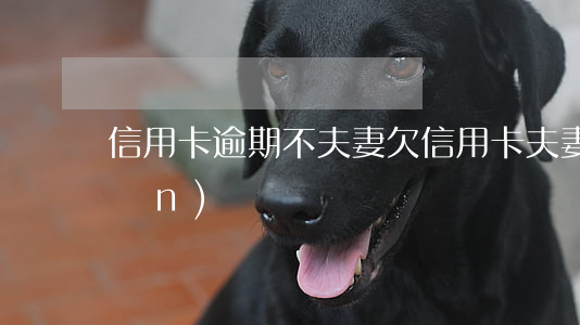 信用卡逾期不夫妻(欠信用卡夫妻用承擔(dān)嗎)