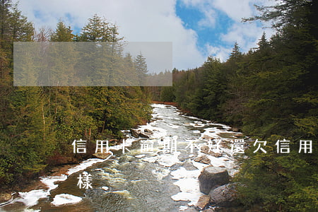 信用卡逾期不好還(欠信用卡逾期不還會怎么樣)