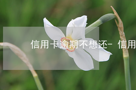信用卡逾期不想还-信用卡逾期不想还