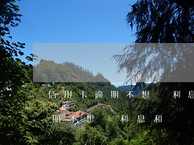 信用卡逾期不想還利息和滯納金-信用卡逾期不想還利息和滯納金怎么辦