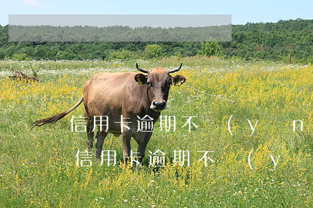 信用卡逾期不應(yīng)訴有什么后果(信用卡逾期不應(yīng)訴有什么后果嘛)