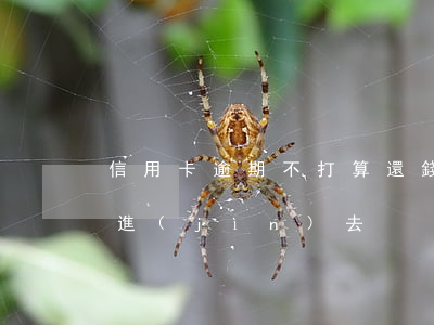 信用卡逾期不打算還錢(信用卡逾期還錢還不進(jìn)去)