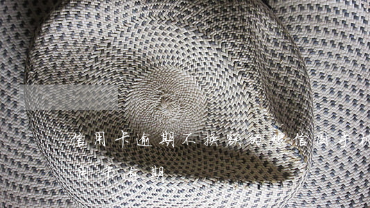 信用卡逾期不换额的短信(因手机号码更换信用卡逾期)