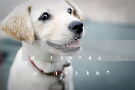 信用卡逾期不接受協(xié)商怎么辦上海-信用卡逾期不給協(xié)商
