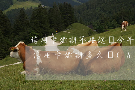信用卡逾期不接起訴(今年新規(guī)定信用卡逾期多久會(huì)起訴)