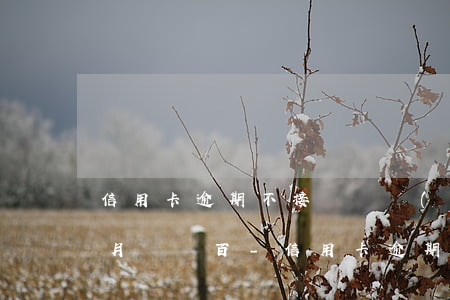 信用卡逾期不接電話會(huì)怎么樣每月還幾百-信用卡逾期不接電話會(huì)怎么樣每月還幾百塊