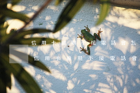 信用卡逾期不接電話會怎么樣每月還幾百-信用卡逾期不接電話會怎么樣每月還幾百塊