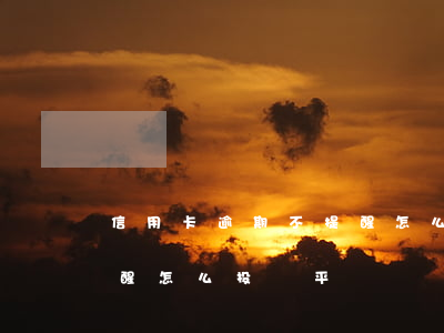 信用卡逾期不提醒怎么投訴(信用卡逾期不提醒怎么投訴平臺)