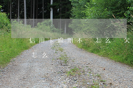 信用卡逾期不換怎么辦(欠信用卡逾期還不上怎么辦)