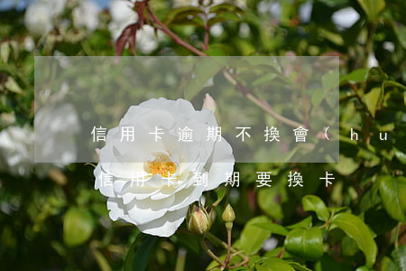 信用卡逾期不換會(huì)怎么-為什么信用卡到期要換卡