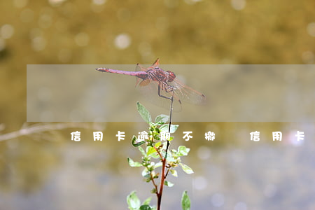信用卡逾期不撤訴(信用卡逾期能不能撤銷)