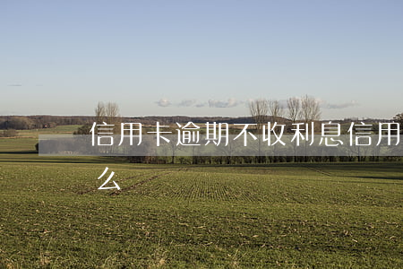 信用卡逾期不收利息(信用卡逾期不收利息怎么辦)