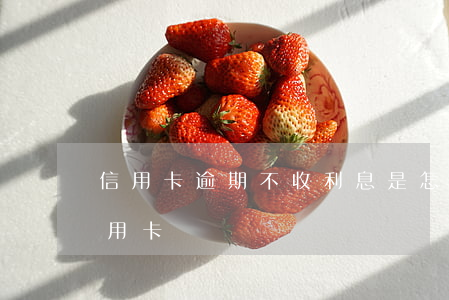 信用卡逾期不收利息是怎么回事(逾期不還信用卡)