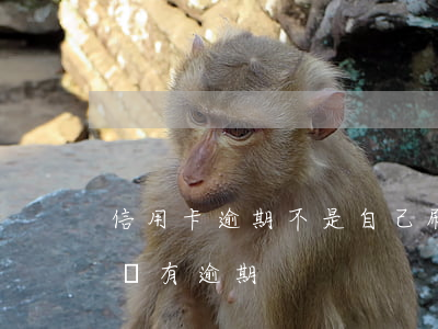 信用卡逾期不是自己刷的 一直刷信用卡但是沒有逾期