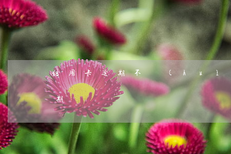信用卡逾期不會(huì)停電吧(信用卡逾期)