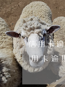 信用卡逾期不會(huì)停電吧(銀行卡信用卡逾期有什么后果)