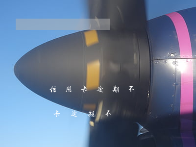 信用卡逾期不歸還懲罰規(guī)定（信用卡逾期不歸還懲罰）