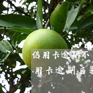 信用卡逾期不滿一萬會起訴么(一萬以下的信用卡逾期后果)