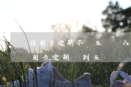 信用卡逾期不滿五萬會入刑嗎 2019起信用卡逾期沒到五萬還會被判刑嗎