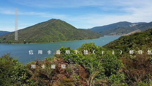 信用卡逾期不發(fā)郵件怎么辦(郵儲信用卡 逾期)