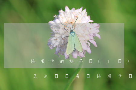 信用卡逾期不發(fā)郵件會(huì)怎么樣(沒有辦信用卡卻收到信用卡郵件)