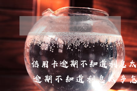 信用卡逾期不知道利息太多怎么辦-信用卡逾期不知道利息太多怎么辦呢