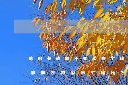 信用卡逾期不知道哪个银行怎么查-信用卡逾期不知道哪个银行怎么查询