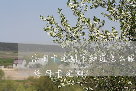信用卡逾期不知道怎么跟老公說(老公用老婆信用卡逾期)