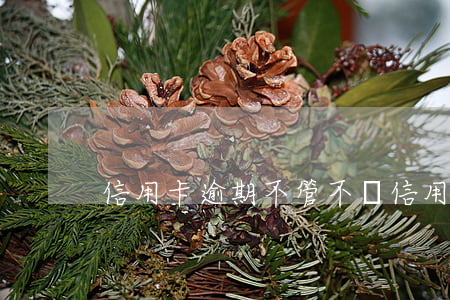 信用卡逾期不管不問(信用卡 逾期不還)