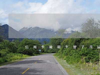 信用卡逾期不管了(当前逾期办信用卡)