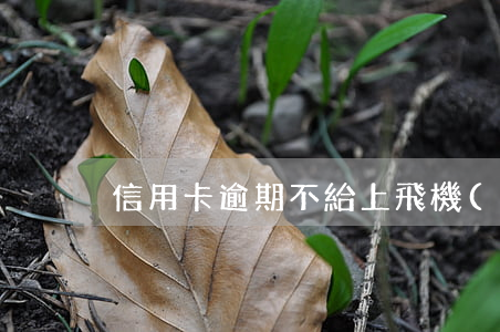信用卡逾期不給上飛機(jī)