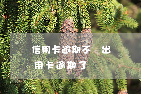 信用卡逾期不給出賬單(沒(méi)注意信用卡逾期了)