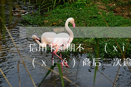 信用卡逾期不給協(xié)商-信用卡協(xié)商后二次逾期怎么辦