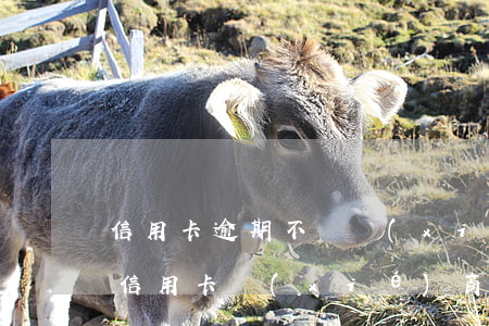 信用卡逾期不給協(xié)商分期(可以跟信用卡協(xié)商分期嗎)