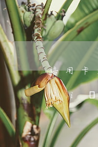 信用卡逾期不給協(xié)商可以銀監(jiān)會投訴嗎-銀行不讓協(xié)商還信用卡可以去銀監(jiān)會投訴嗎