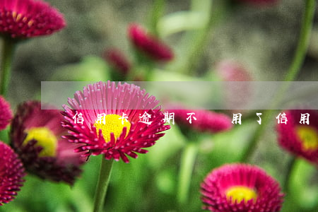 信用卡逾期不給用了（信用卡逾期不給用了）