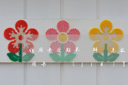 信用卡逾期不給解凍怎么辦-沒有逾期的信用卡凍結(jié)了怎么辦
