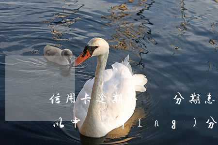 信用卡逾期不給辦分期怎么辦(銀行卡逾期可以申請(qǐng)分期嗎)