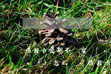 信用卡逾期不綁定儲(chǔ)蓄卡會(huì)怎么樣-信用卡逾期不綁定儲(chǔ)蓄卡會(huì)怎么樣嗎
