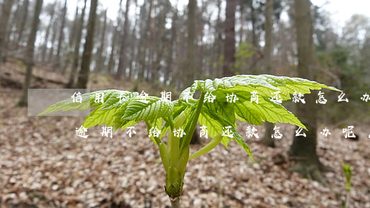 信用卡逾期不给协商还款怎么办呢-信用卡逾期不给协商还款怎么办呢怎么投诉