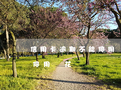 信用卡逾期不能停用嗎花唄(信用卡逾期不能停用嗎花唄)